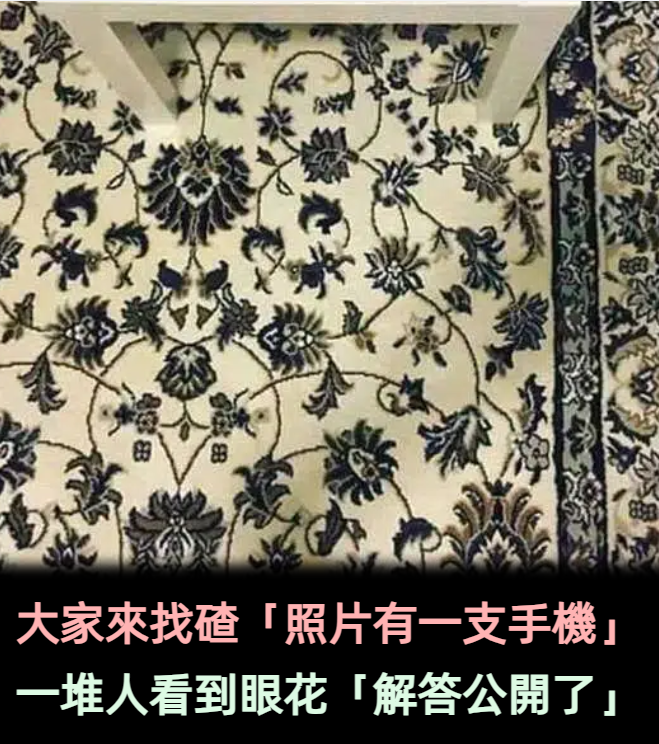 大家來找碴「照片中有一支手機」考倒全網！一堆人看到眼花「解答公開了」