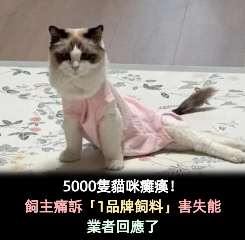 5000隻貓咪癱瘓！飼主痛訴「1品牌飼料害的」業者回應了