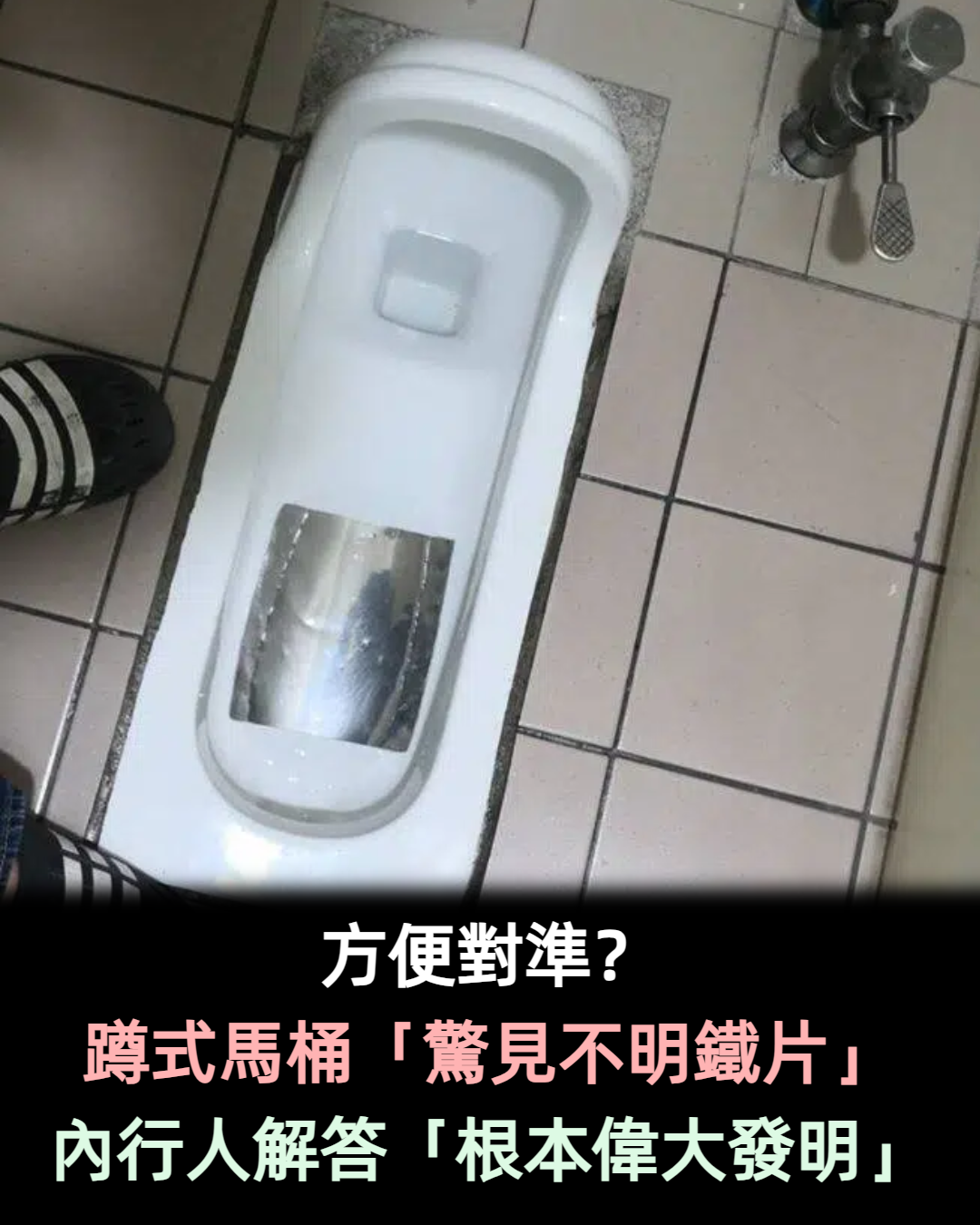 方便對準?用蹲式馬桶「驚見不明鐵片」網笑:邊上邊照鏡子 釣出內行人解答「根本偉大發明」