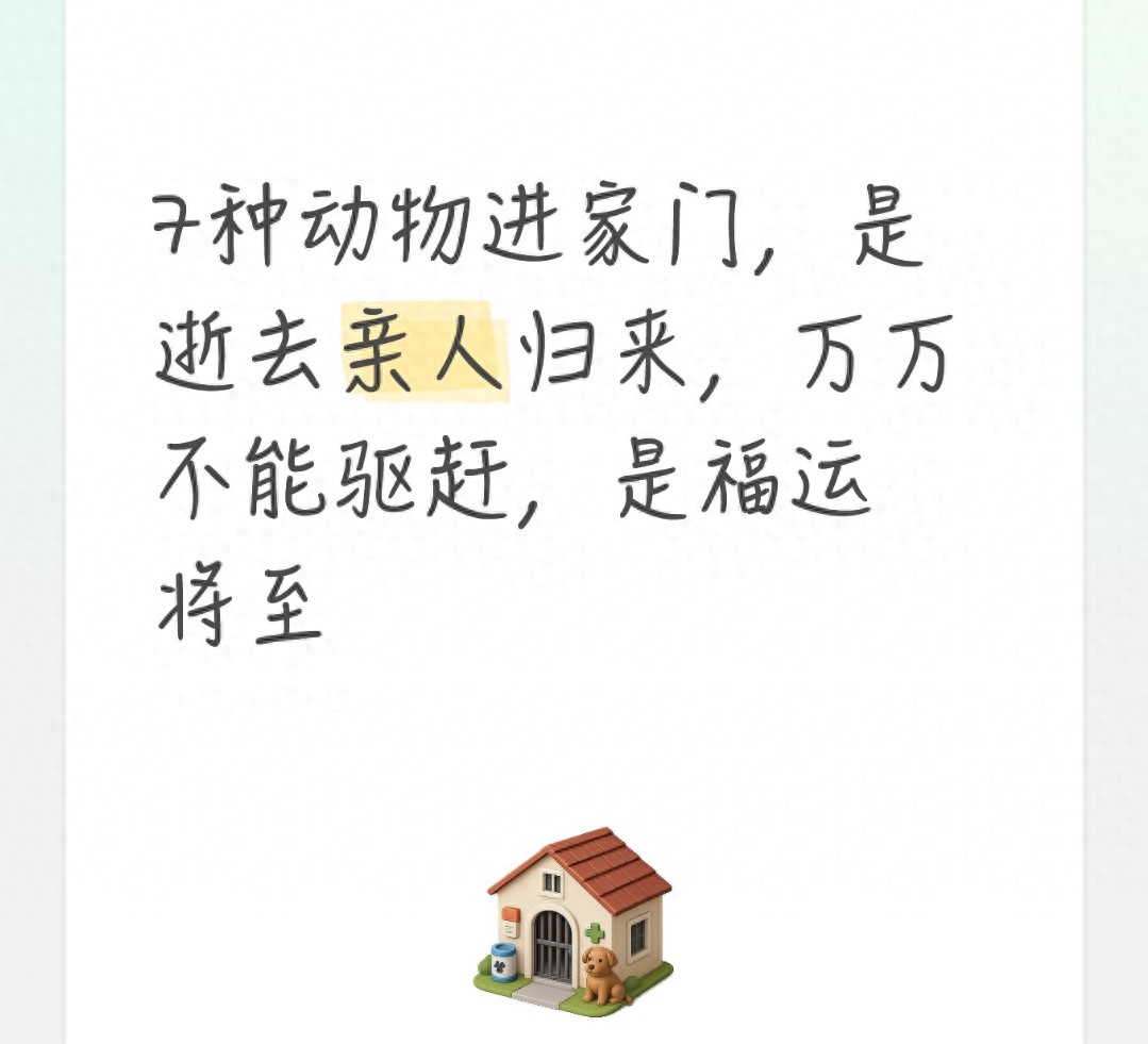 7種動物來家裡「是過世家人帶福運來」