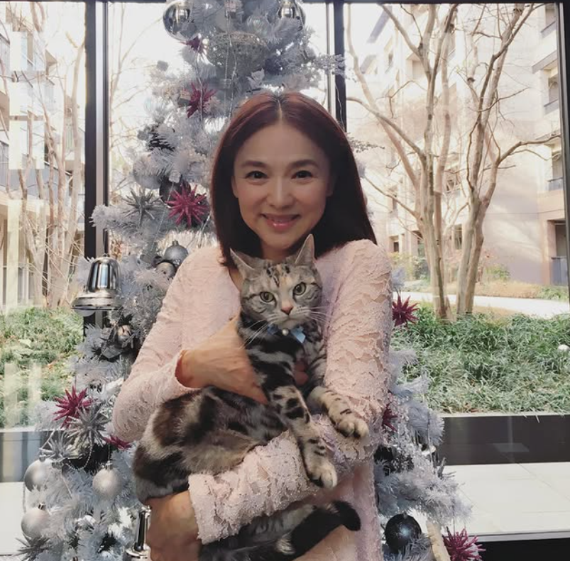 年輕漂亮又火辣!知名女星「自爆和成龍不倫戀」 離婚外國尪「71歲狀態超驚人」