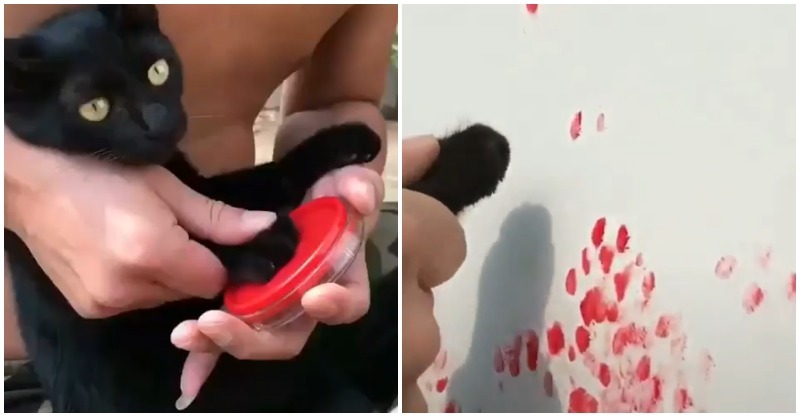 post-thumb