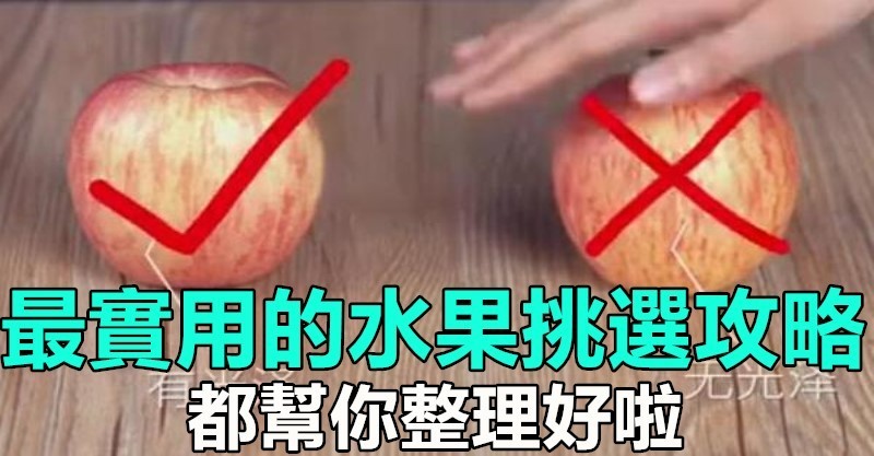 【禁用】橘子還分公母？母橘子才更好吃！果農教你挑選技巧「一挑一個準」