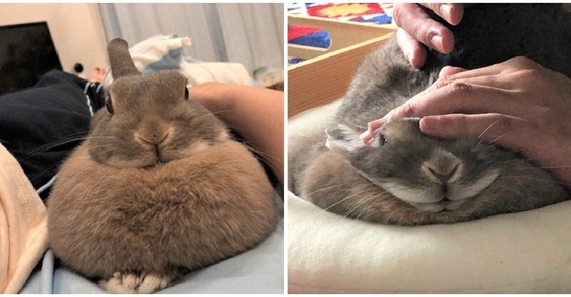 post-thumb