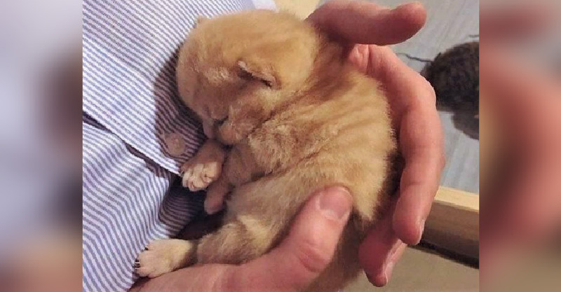 post-thumb