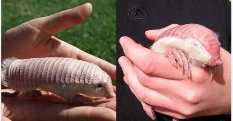post-thumb