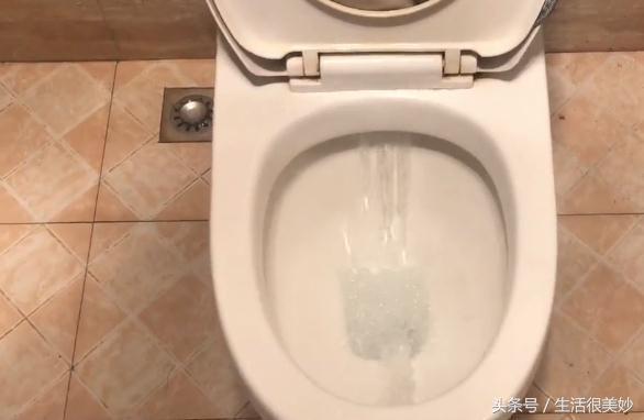 教你一招「只用舊襪子」　馬桶一年「不髒不臭」省錢又實用