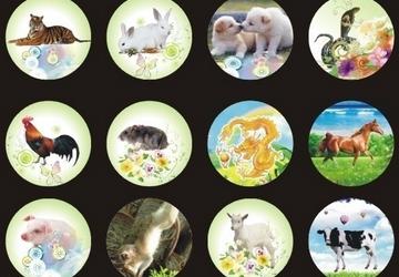 根據自己的「生肖」查查你是什麼命！真的非常凖