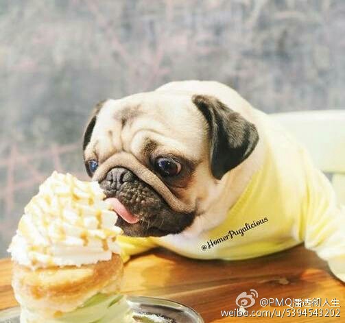 帶著老婆參加同事聚餐 老公當場說了這麼「一句話」!隔天老婆立刻跟他離婚