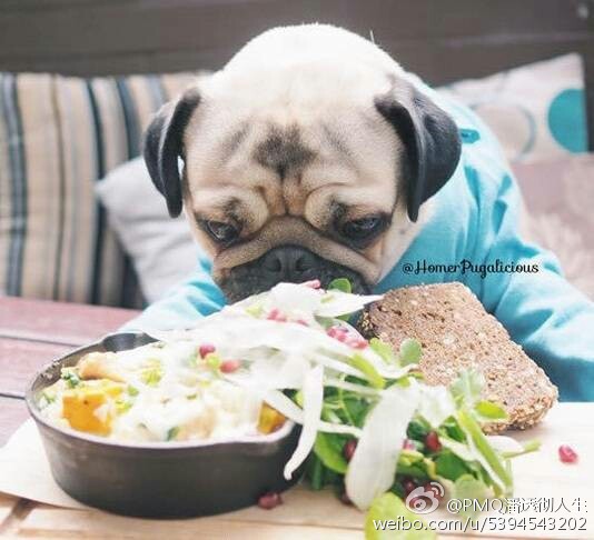 帶著老婆參加同事聚餐 老公當場說了這麼「一句話」!隔天老婆立刻跟他離婚