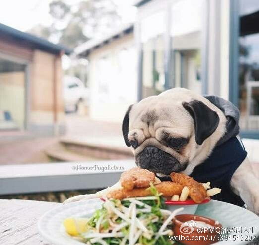 帶著老婆參加同事聚餐 老公當場說了這麼「一句話」!隔天老婆立刻跟他離婚