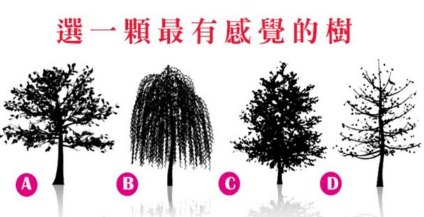 【測驗】選一棵你「最有感覺的樹」，測你內心最離不開誰！