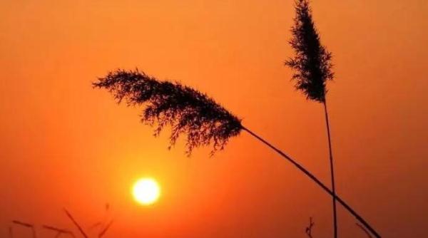 【測驗】哪根水管的水流下來最快?測你有什麼驚人天賦!