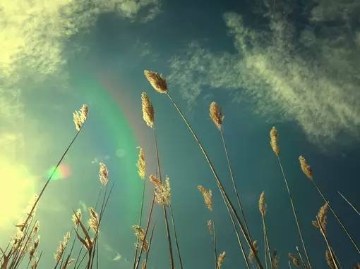 【測驗】哪根水管的水流下來最快?測你有什麼驚人天賦!