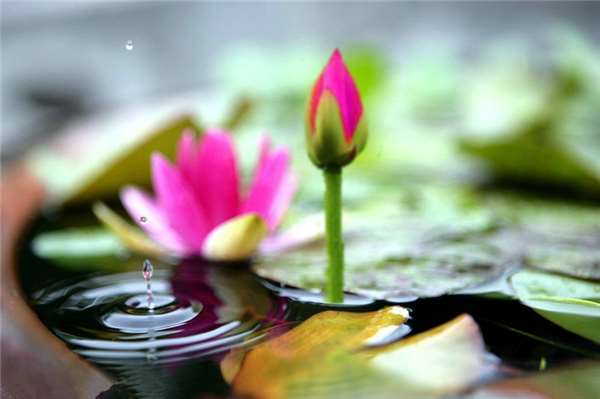 少女善心「讓座」給火車上的老人家！突然當少女「彎下腰」在場都被震撼了