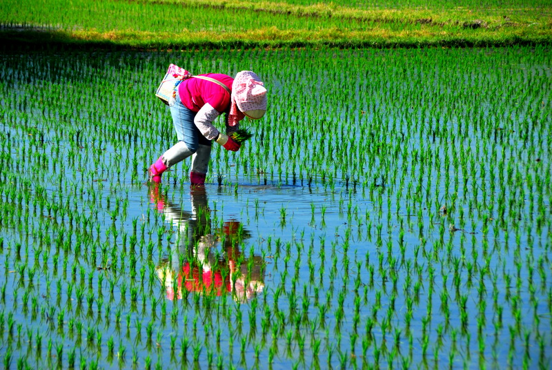 她嫁了一個「自己不愛的人」遺憾萬分!多年後老公「抖出她的秘密」讓她嚇傻,原來他早就發現了